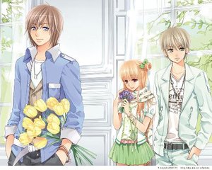 茄子一区二区视频